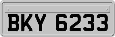 BKY6233