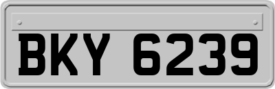 BKY6239