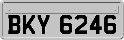 BKY6246