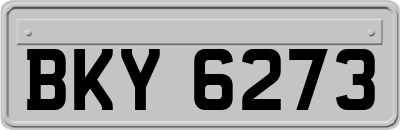 BKY6273