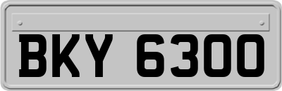 BKY6300