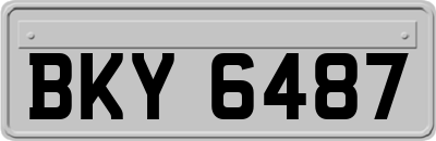 BKY6487