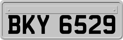 BKY6529