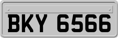 BKY6566