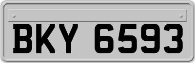 BKY6593
