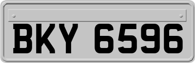 BKY6596