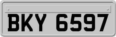 BKY6597