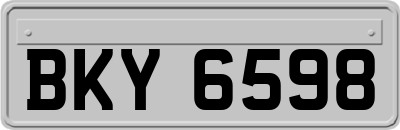 BKY6598