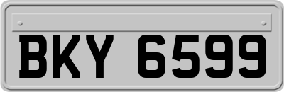 BKY6599
