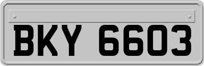 BKY6603