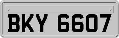 BKY6607