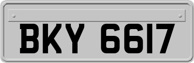 BKY6617