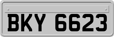 BKY6623