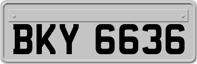 BKY6636