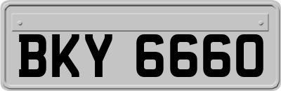 BKY6660