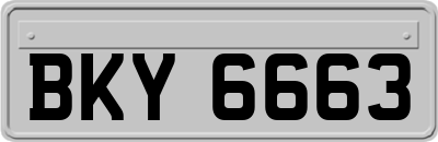 BKY6663