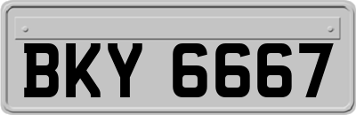 BKY6667