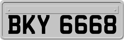 BKY6668