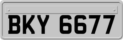 BKY6677