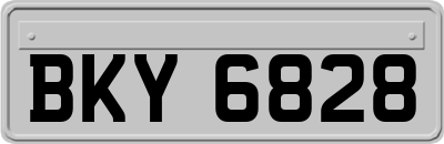 BKY6828