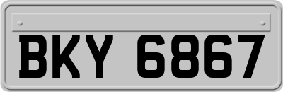 BKY6867