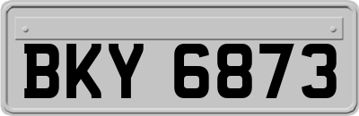 BKY6873