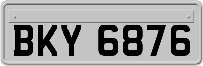 BKY6876