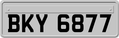 BKY6877