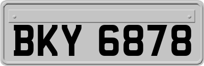 BKY6878