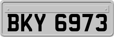 BKY6973