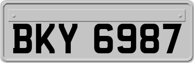 BKY6987