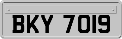 BKY7019