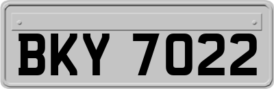 BKY7022