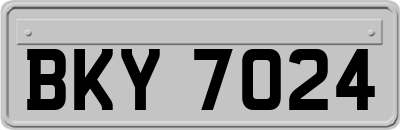BKY7024
