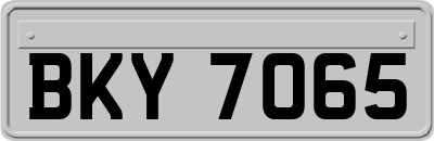 BKY7065