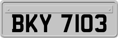 BKY7103