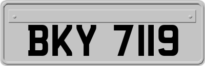 BKY7119