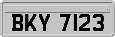 BKY7123