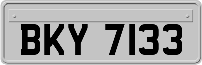 BKY7133