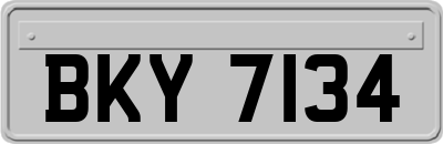 BKY7134