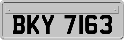 BKY7163