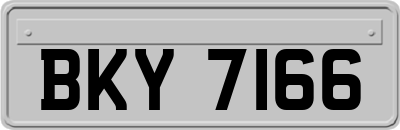 BKY7166