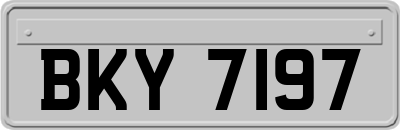 BKY7197