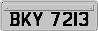 BKY7213