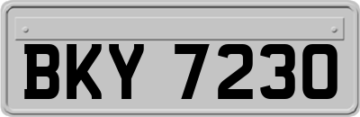 BKY7230