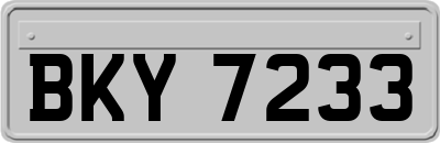 BKY7233