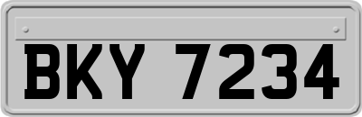 BKY7234