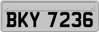 BKY7236