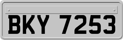 BKY7253