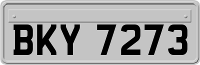 BKY7273